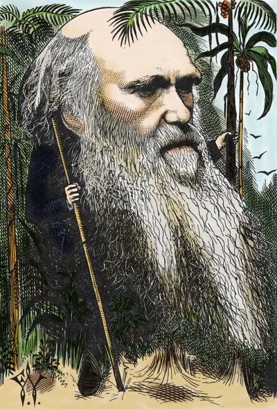 Charles DARWIN (1809-1882) Karikatur von F. Waddy in „Once A Week“ von 1873 von Frederick Waddy