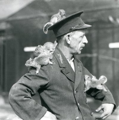 Ein Zweitklassiger Wärter mit vier jungen Grauhörnchen, die auf seinem Uniformhut und seiner Jacke klettern, Londoner Zoo von Frederick William Bond
