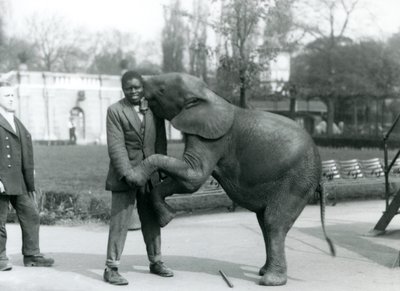 Ein junger afrikanischer Zwergelefant steht auf den Hinterbeinen, um ihren afrikanischen Trainer zu umarmen, während der Pfleger zusieht, Londoner Zoo, Juli 1925 von Frederick William Bond