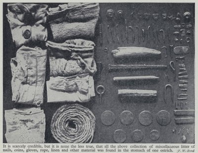 Gegenstände, die im Magen eines Straußes gefunden wurden (s/w Foto) von Frederick William Bond