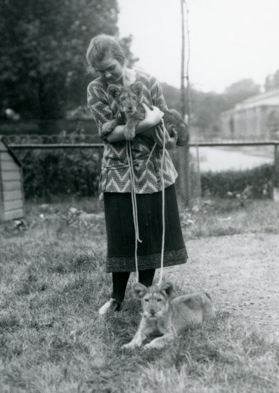 Zwei Löwenjunge mit einer jungen Frau im Londoner Zoo im August 1925 von Frederick William Bond