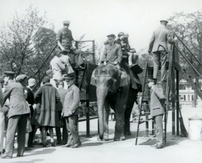 Besucher stehen für eine Elefantenfahrt an, während andere mit Hilfe von fünf Wärtern einsteigen, Londoner Zoo, 1927 von Frederick William Bond