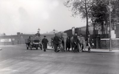 Ein Paar Elefanten vom Hafen zum ZSL London Zoo führen, das letzte Mal, dass dies jemals getan wurde, 1923 von Frederick William Bond