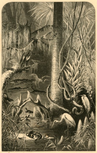 Ein Sumpf in Florida von Frederick William Quartley