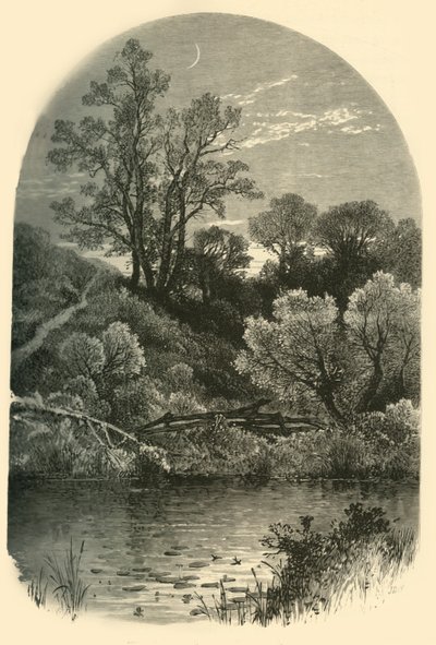 Ufer des Housatonic in Pittsfield, 1874 von Frederick William Quartley