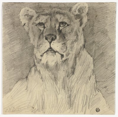 Vorderansicht einer sitzenden Löwin von Frederik William Zurcher