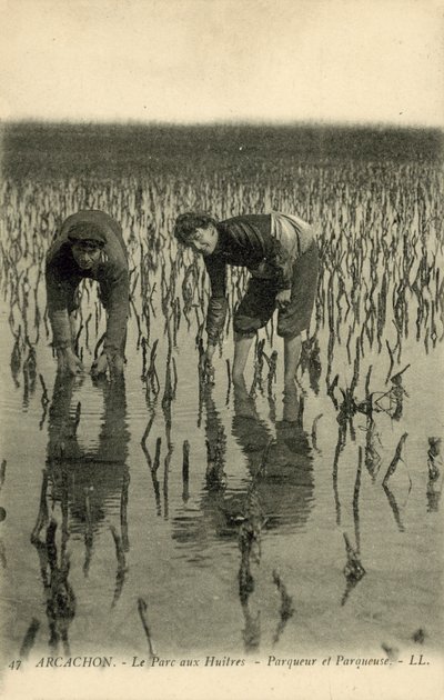 Arcachon, Der Austernpark von French Photographer
