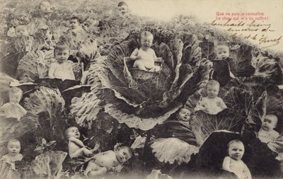 Babys im Kohlfeld (Fotokollage) von French Photographer