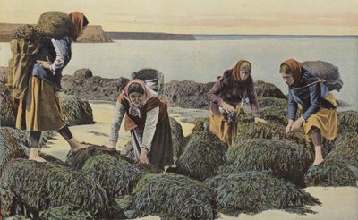 Boulogne-sur-Mer, Typen von Muschelsammlern von French Photographer