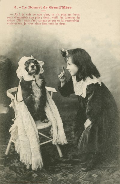 Kind zieht ihrem Hund eine Haube an von French Photographer