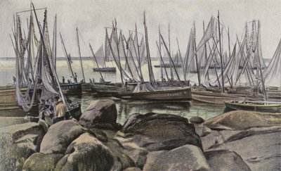 Concarneau, Fischerboote für Sardinen von French Photographer
