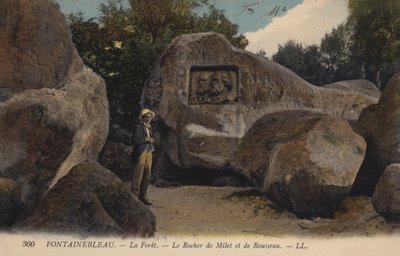 Fontainebleau, La Forêt, Le Rocher de Milet et de Rousseau von French Photographer
