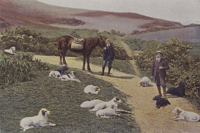 Moorhuhnjagd in Schottland von French Photographer