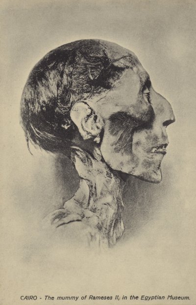 Mumie von Ramses II. von French Photographer