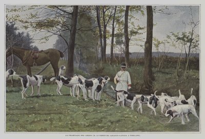 Rudel von Hunden des Barons de Carayon-Latour in Virelade, Frankreich von French Photographer
