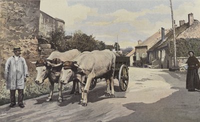 Saulieu, Ein Gespann im Morvan von French Photographer