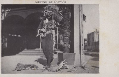Souvenir von Bostock von French Photographer