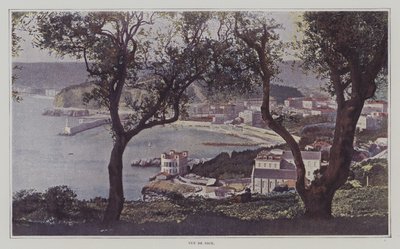 Blick auf Nizza (Farbfoto) von French Photographer