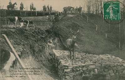 Villers-Cotterets. Der Wald - Equipage Menier Hallali de Cerf in Silly-la-Poterie von French Photographer
