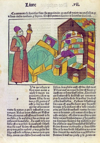Ein Patient mit einem Arzt und einem Apotheker, aus Le Livre des Proprietes des Choses von Barthelemy l
