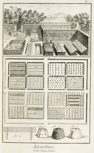 Ein Gemüsegarten, aus der Enzyklopädie der Wissenschaft, Kunst und Technik von Denis Diderot (1713-84), ca. 1770 von French School