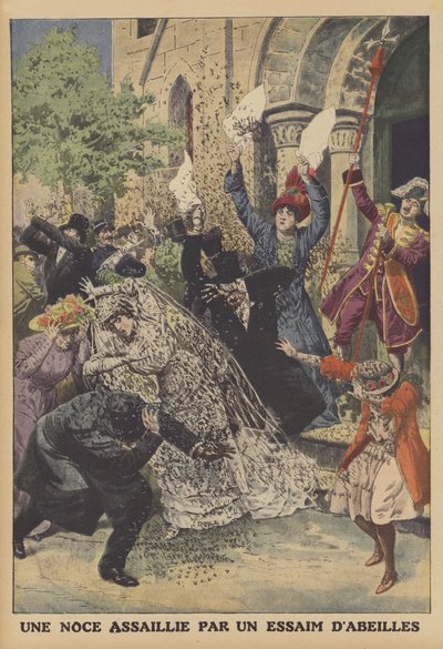 Eine Hochzeit von einem Bienenschwarm angegriffen von French School