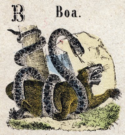 Abecedarium. Buchstabe B wie Boa. Kleines enzyklopädisches Alphabet, beliebte Serie. Epinaler Bildgebung, Ende des 19. Jahrhunderts von French School