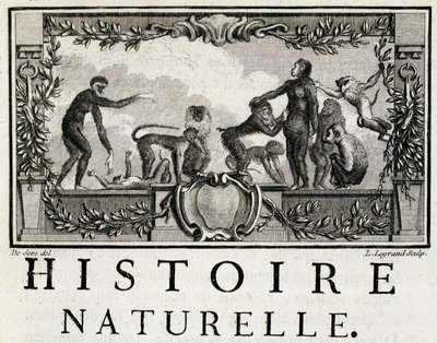 Allegorie der Naturgeschichte über Affen - in „Histoire naturelle, générale et particulière“ von Buffon von French School
