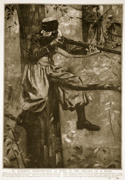 Ein algerischer Scharfschütze bei der Arbeit im Schutz eines Waldes, 1914-19 von French School