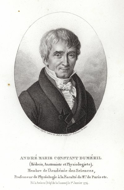 André Marie Constant Duméril von French School