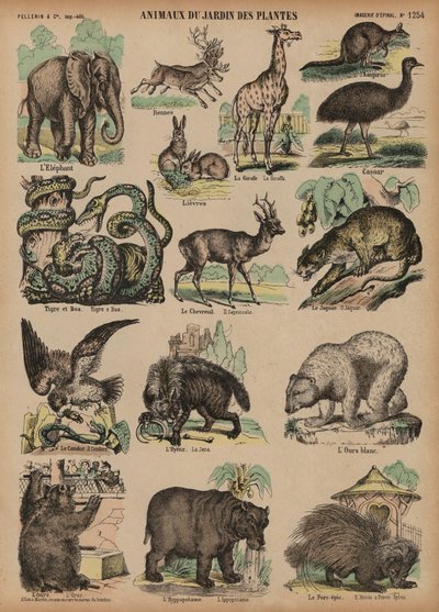 Tiere des Jardin des Plantes, Paris, Frankreich (Farbstich) von French School