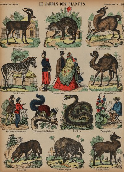 Tiere des Jardin des Plantes, Paris, Frankreich (Farbstich) von French School