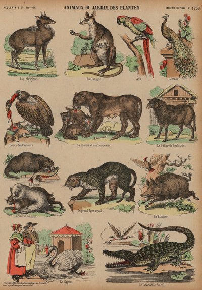 Tiere des Jardin des Plantes, Paris, Frankreich von French School
