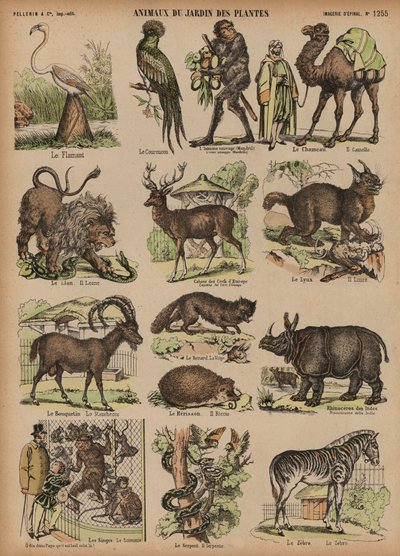 Tiere des Jardin des Plantes, Paris, Frankreich von French School