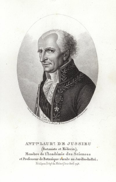 Antoine Laurent de Jussieu von French School