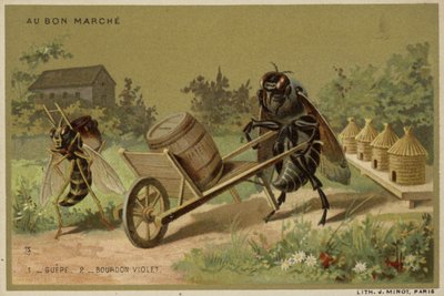 Au Bon Marché-Karten mit anthropomorphen Insekten von French School