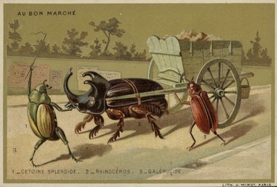 Au Bon Marché-Karten mit anthropomorphen Insekten von French School