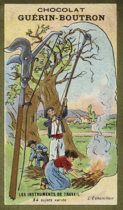 Averruncator von French School
