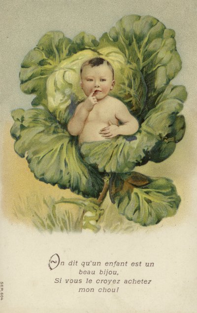Baby in einem Kohlkopf von French School