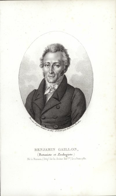 Benjamin Gaillon von French School