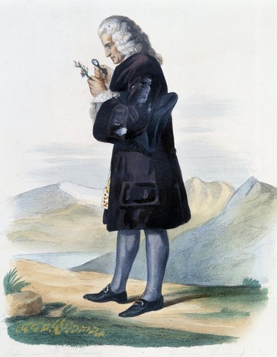Bernard de Jussieu - in Hrsg. Mennechet, „Le Plutarque français“ von French School