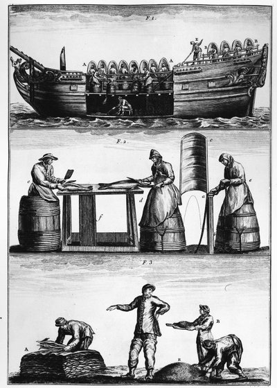 Dorschfischerei: Laden, Schneiden und Salzen von Fisch - in „Traité général des pêches“ von Duhamel du Monceau von French School