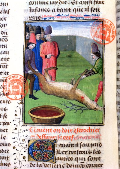 Die Beine eines toten Hirsches abschneiden, aus dem Livre de la Chasse von Gaston Phebus de Foix (1331-91) von French School