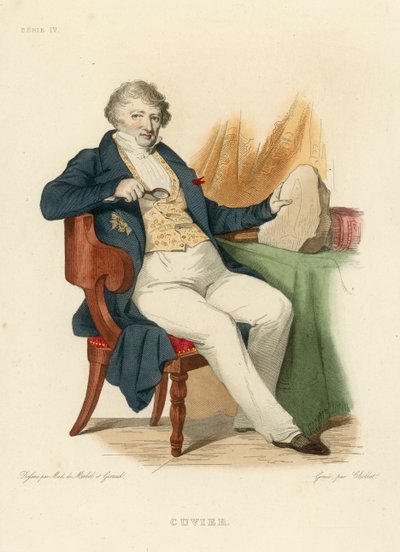 Cuvier von French School