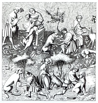 Krankheiten von Hunden und ihre Heilung, nach einer Miniatur im Manuskript von Gaston de Foix von French School