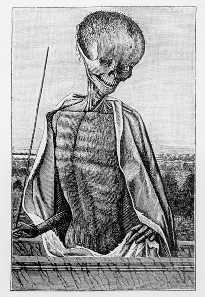 Doktor Tod, aus einem Stundenbuch, Illustration aus Wissenschaft und Literatur im Mittelalter und in der Renaissance, geschrieben und graviert von Paul Lacroix, 1878 von French School