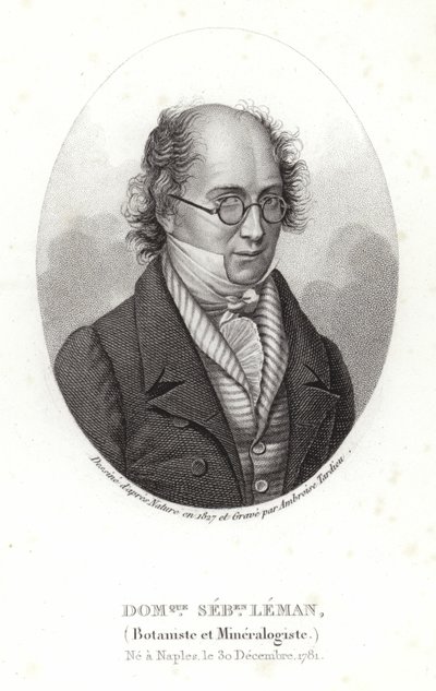 Dominique Sebastion Leman von French School