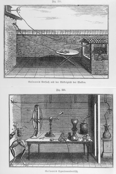 Experiment an Fröschen von Luigi Galvani (1737-98), spätes 18. Jahrhundert von French School
