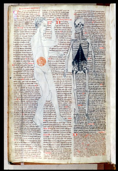 Ein Mann und ein Skelett, aus einem medizinischen Traktat von Abul Qasim Khalaf ibn al-Abbas al-Zahrawi (Abulcasis) (936-1013) übersetzt von Gerard de Cremone (1114-87) von French School