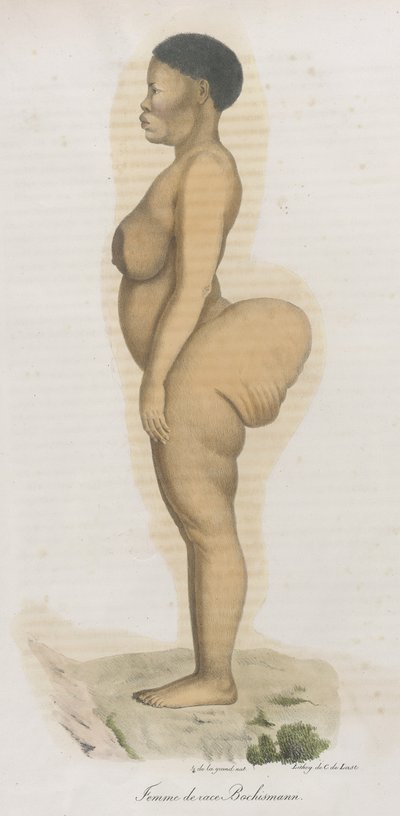 Frau der Rasse Bochismann. Diese Platte zeigt anscheinend ein Bild von Sara (Saartjie) Baartman (1789-1815), die als Khoisan aus Südafrika gebracht wurde, um in Piccadilly unter dem Titel 